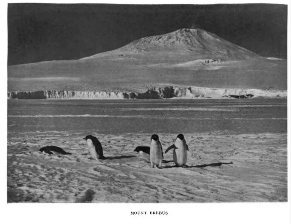 Erebus 1913