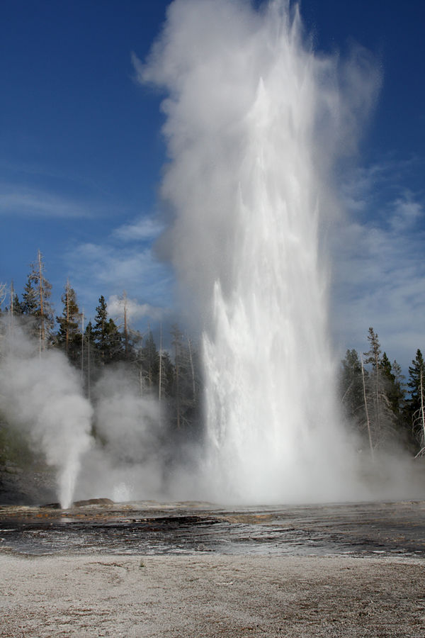 Yellowstone 2009