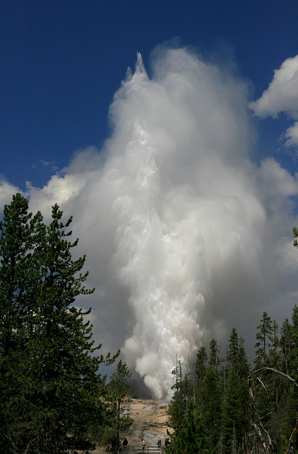 Yellowstone 2018