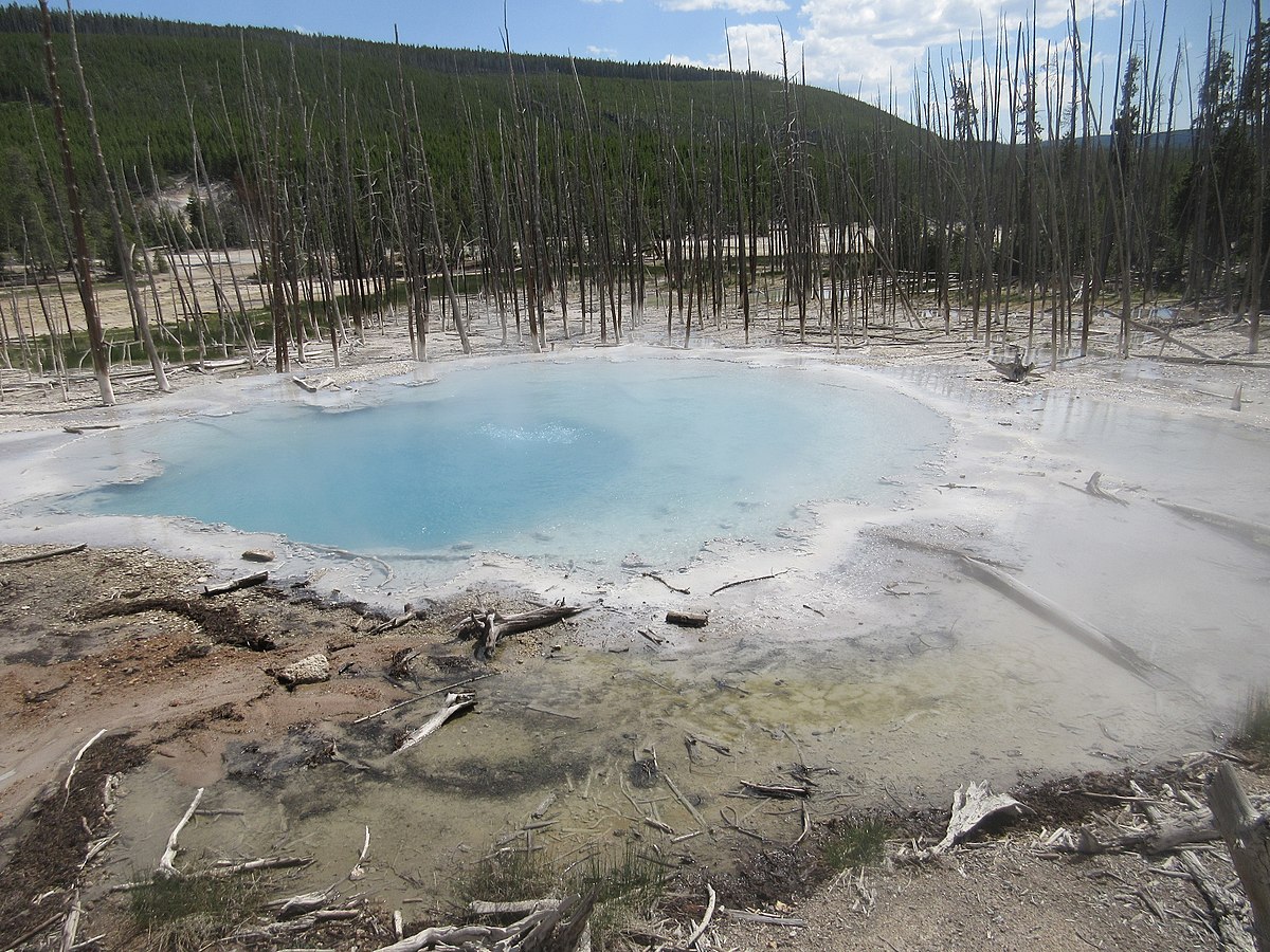 Yellowstone 2018