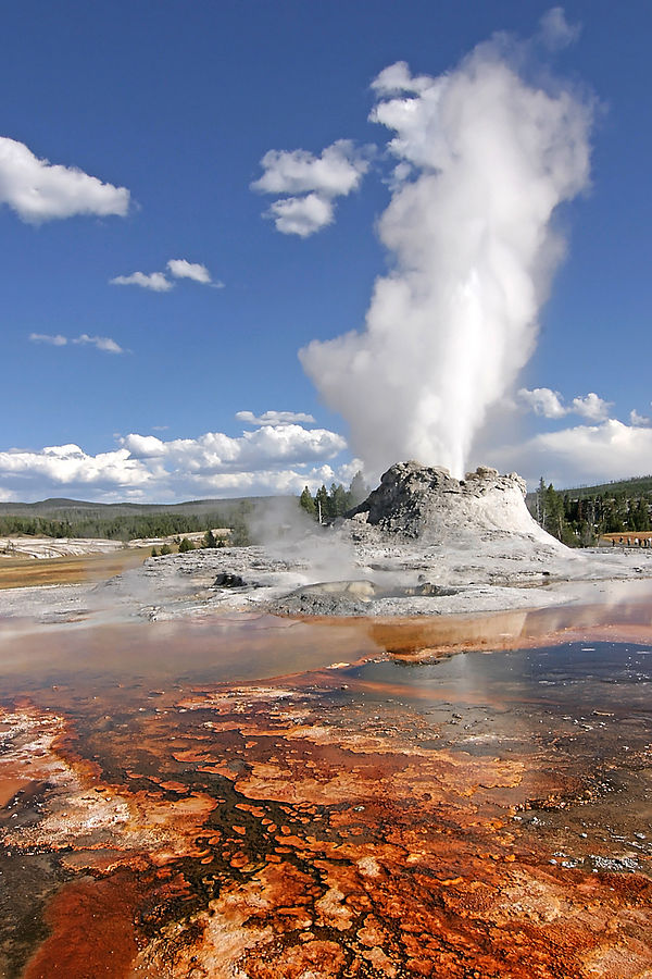 Yellowstone 2007