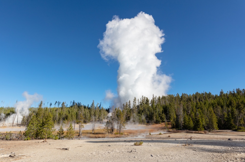 Yellowstone 2018