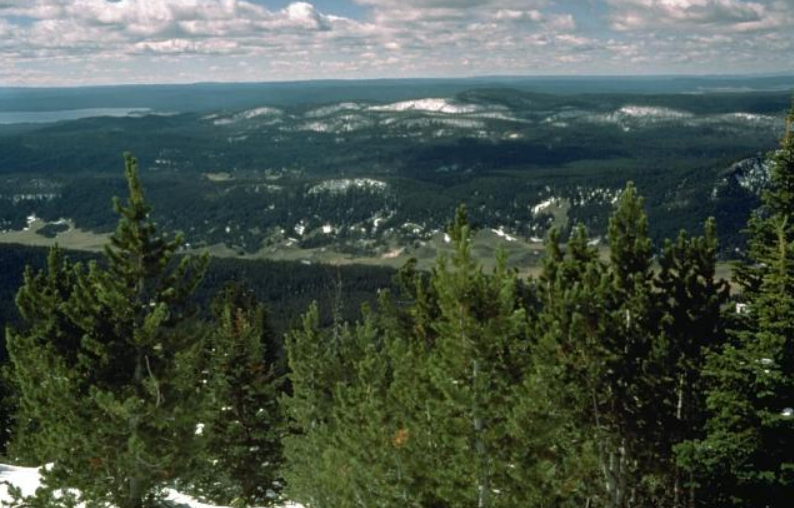 Yellowstone 1985