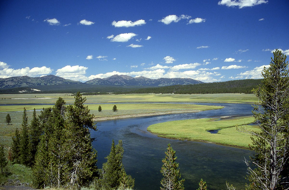 Yellowstone 1987