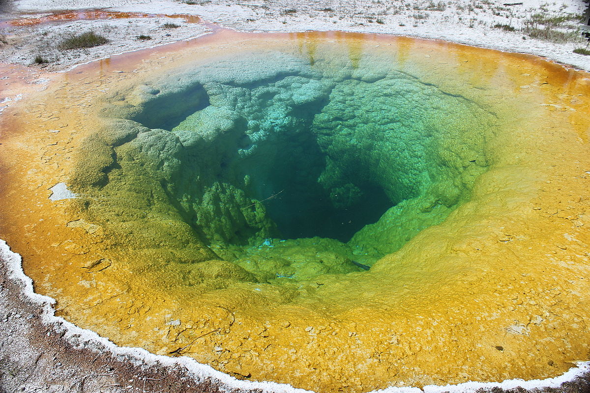 Yellowstone 2014