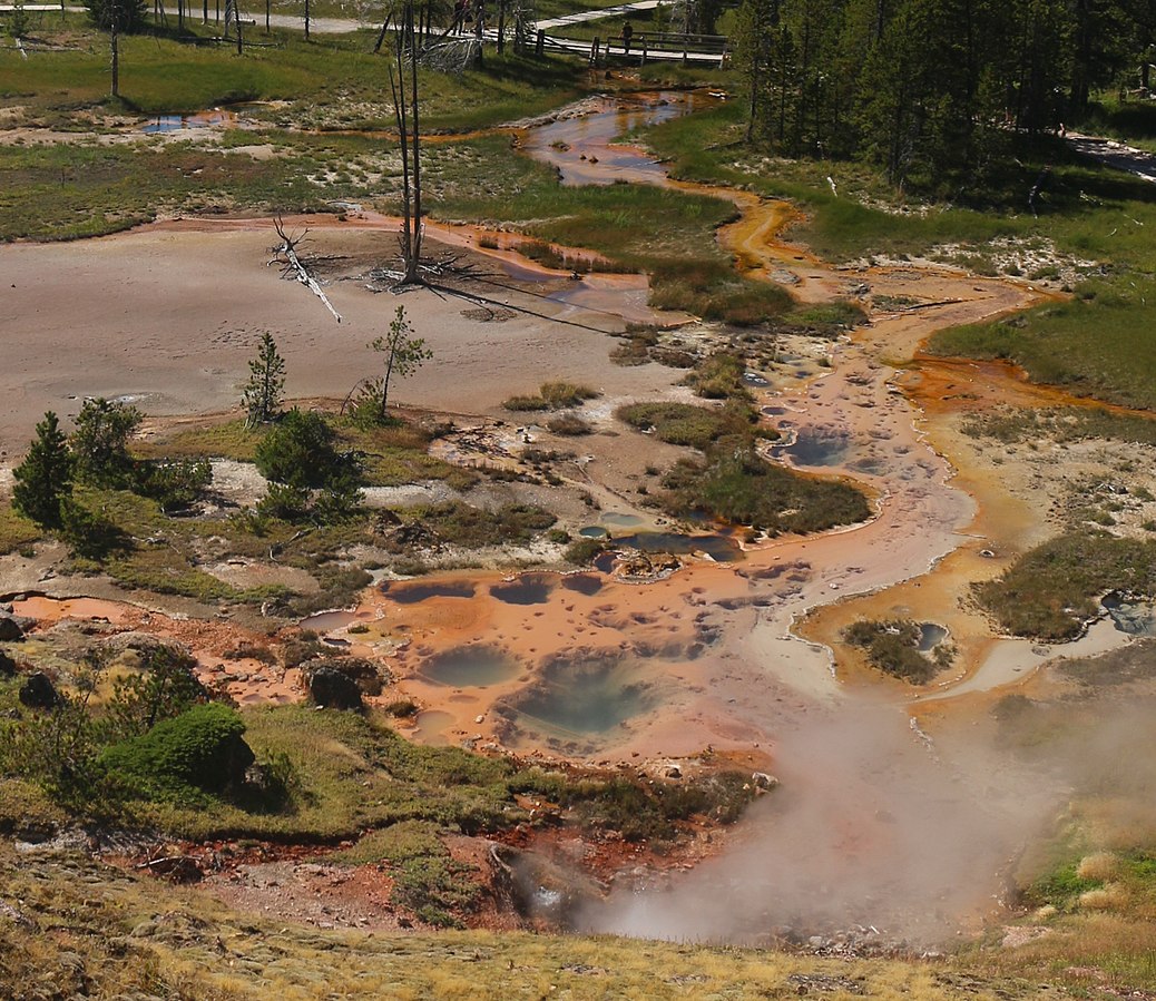 Yellowstone 2018