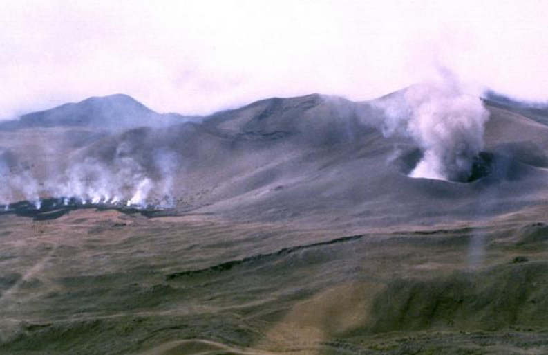 Camerún 1982