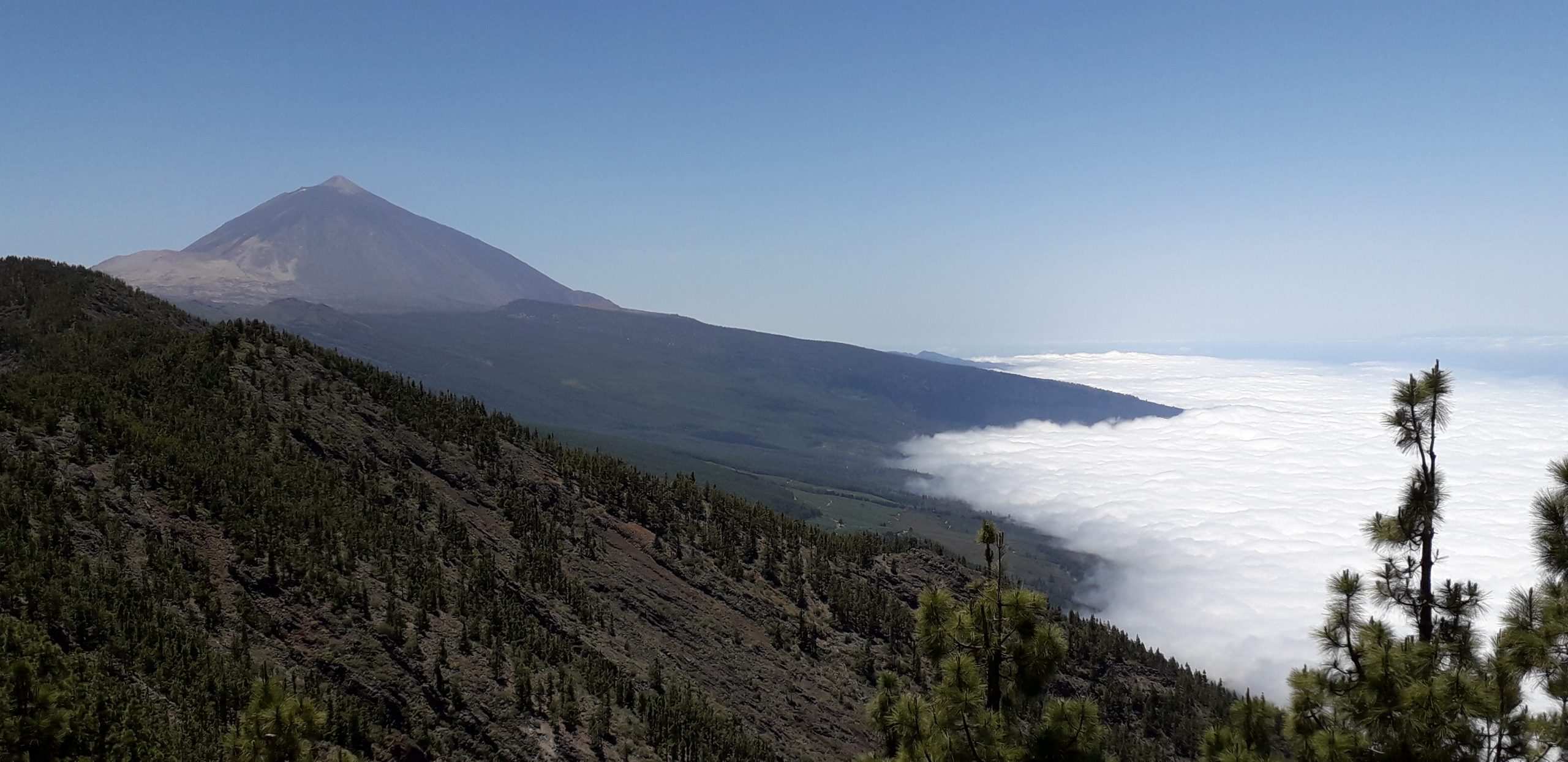 Teide 2019