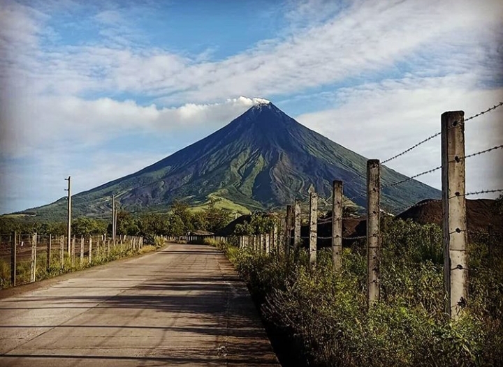 Mayón 2019