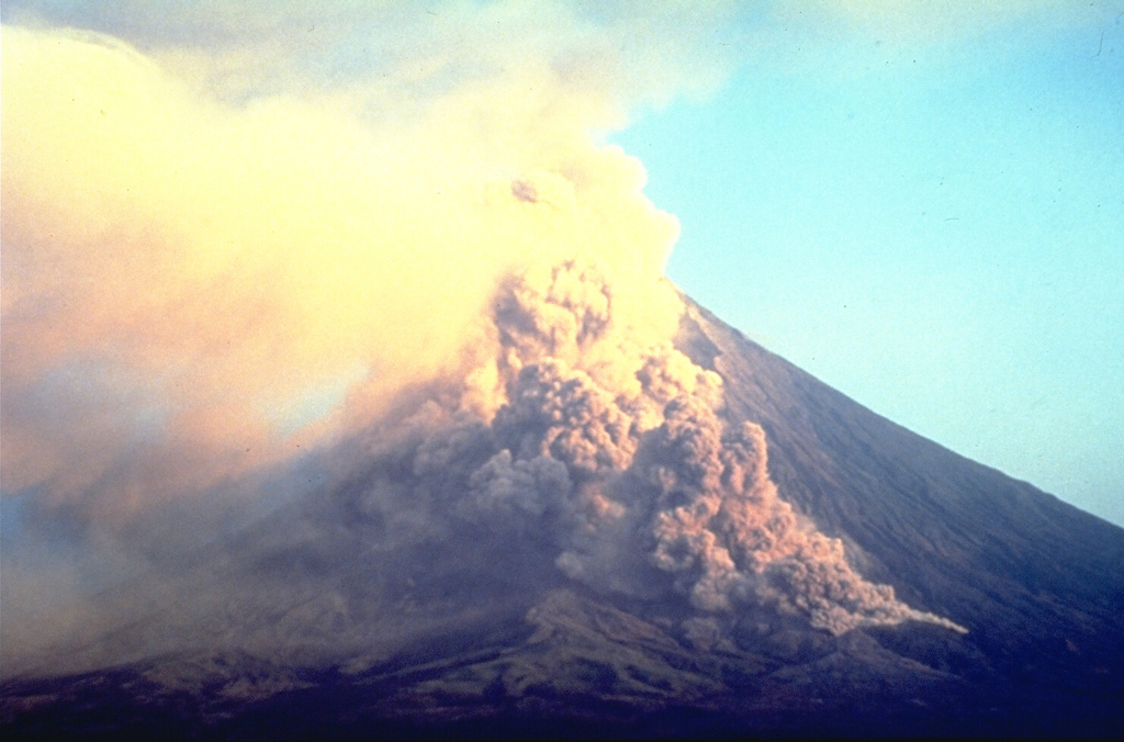 Mayón 1993