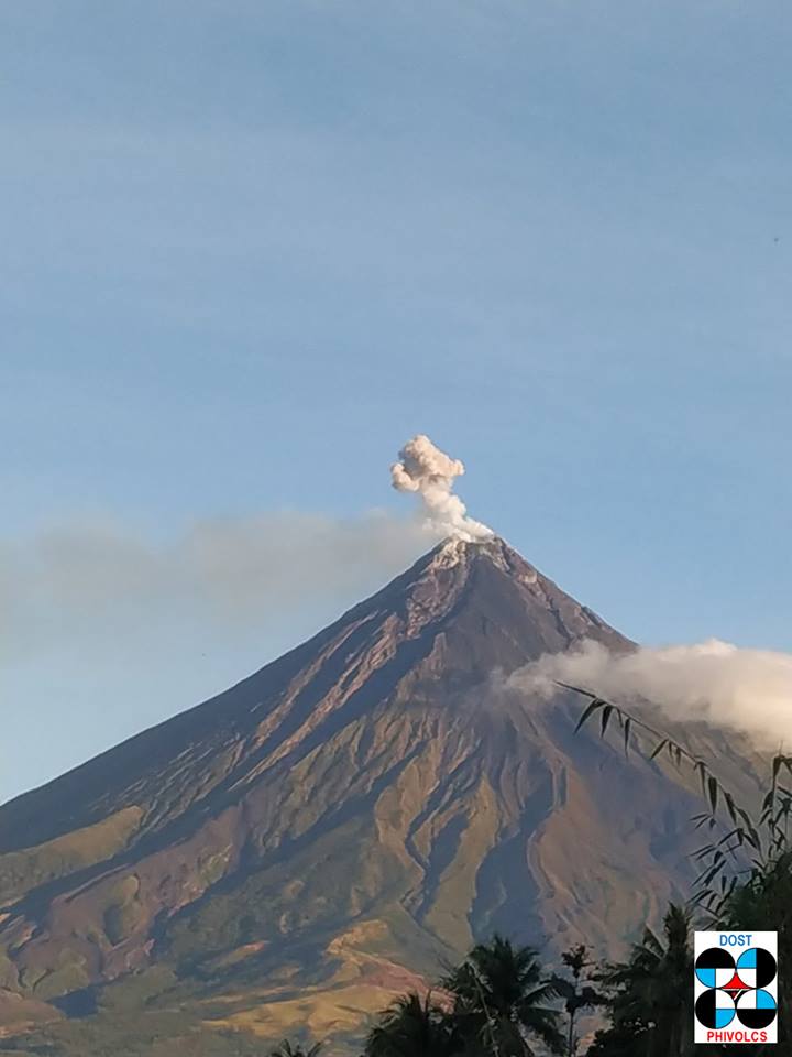 Mayón 2019