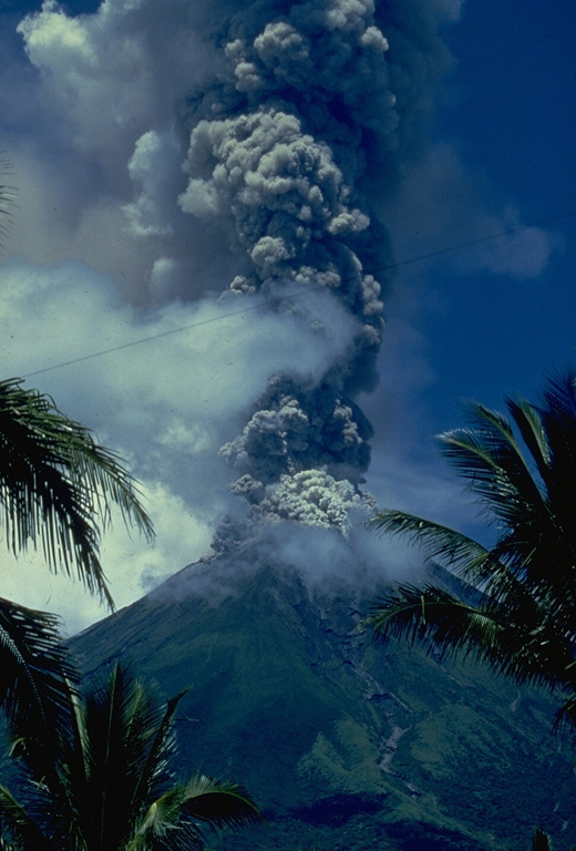Mayón 1984