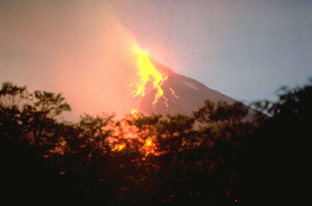 Mayón 1978