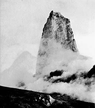 Pelée 1902