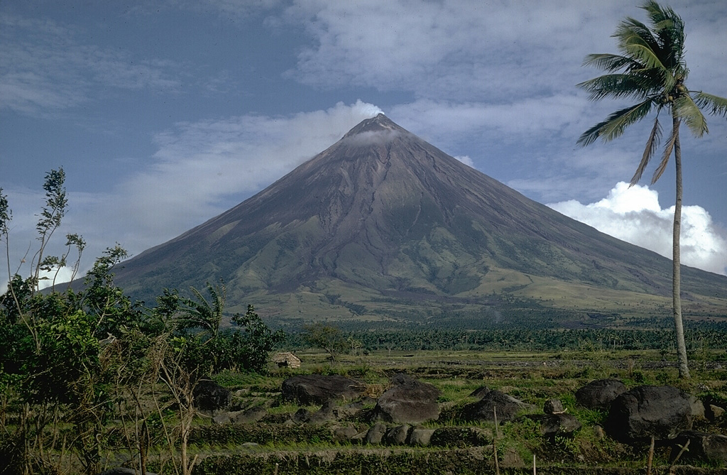 Mayón 1968