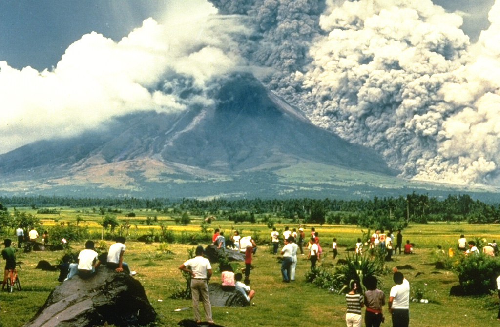 Mayón 1984