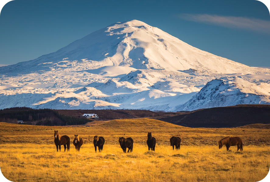 Hekla