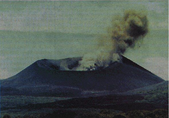 1995 Cerro Negro
