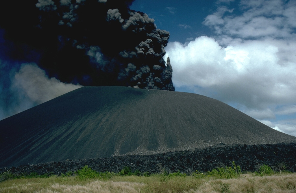 1995 Cerro Negro