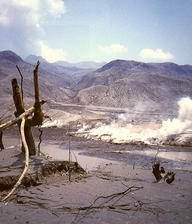 Chichonal 1982