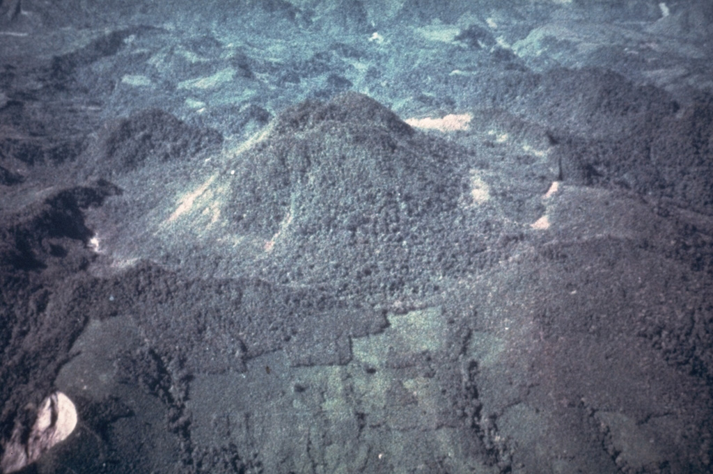 Chichonal 1981
