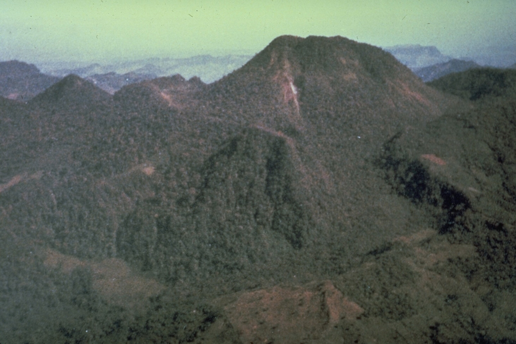Chichonal 1981