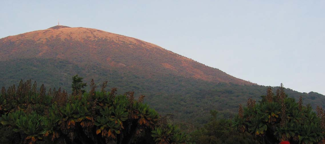 Karisimbi 2005