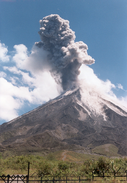 Arenal 1998