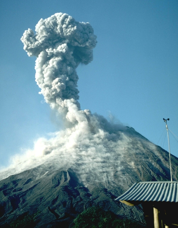 Arenal 1990