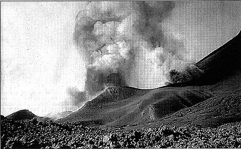 Fogo 1995