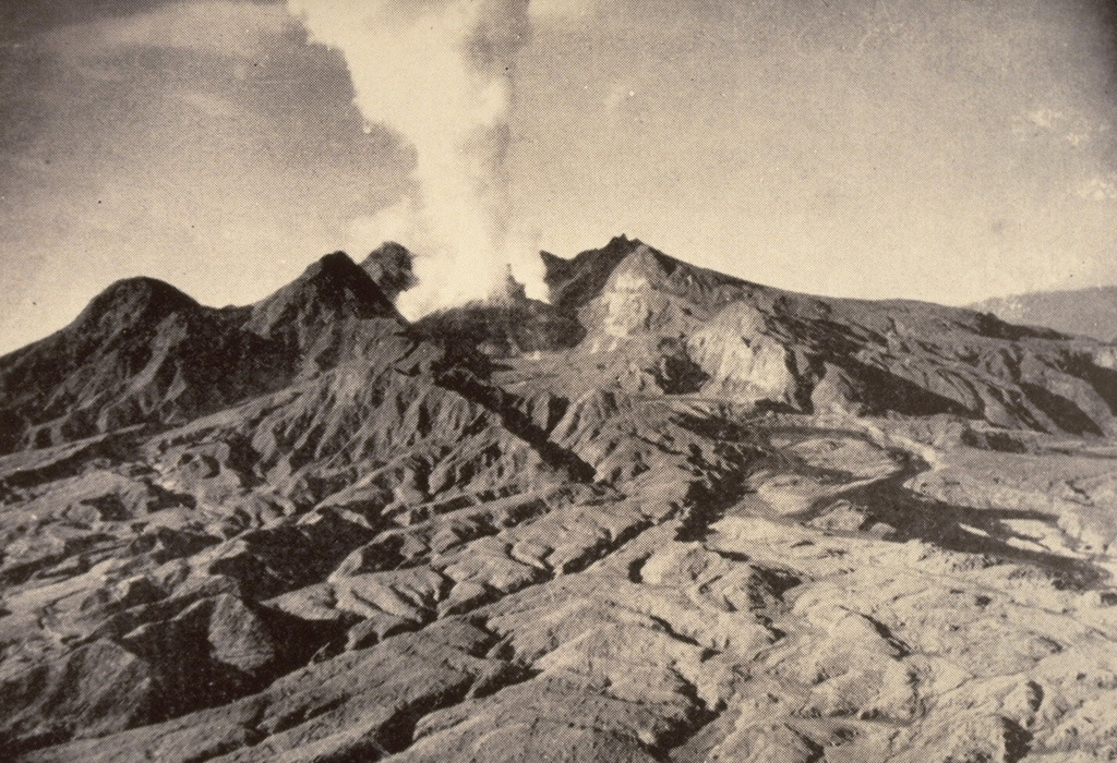 Lamington 1951