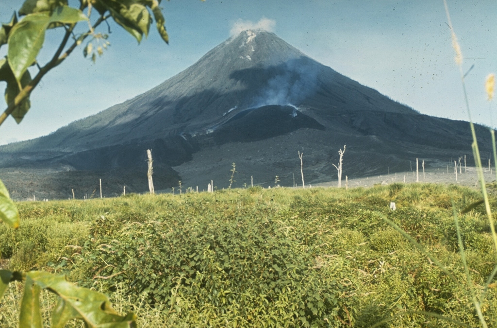 Arenal 1969