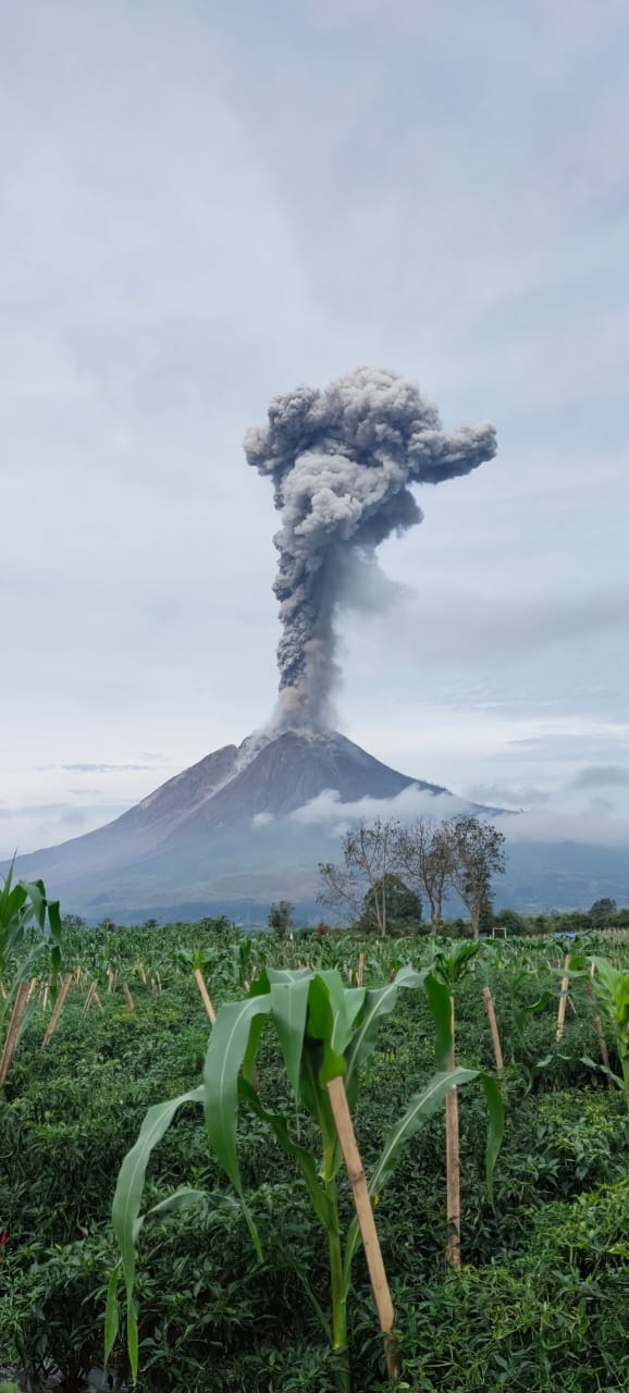Sinabung 2021
