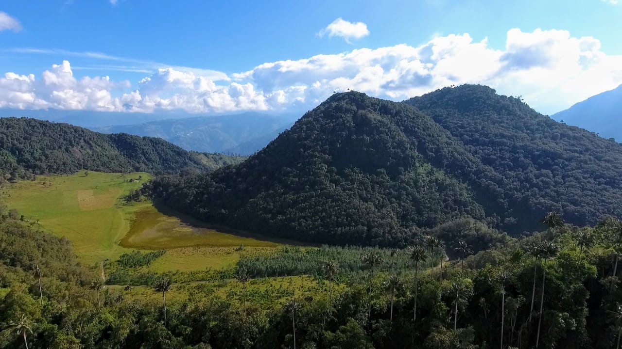 Cerro Machín 2020