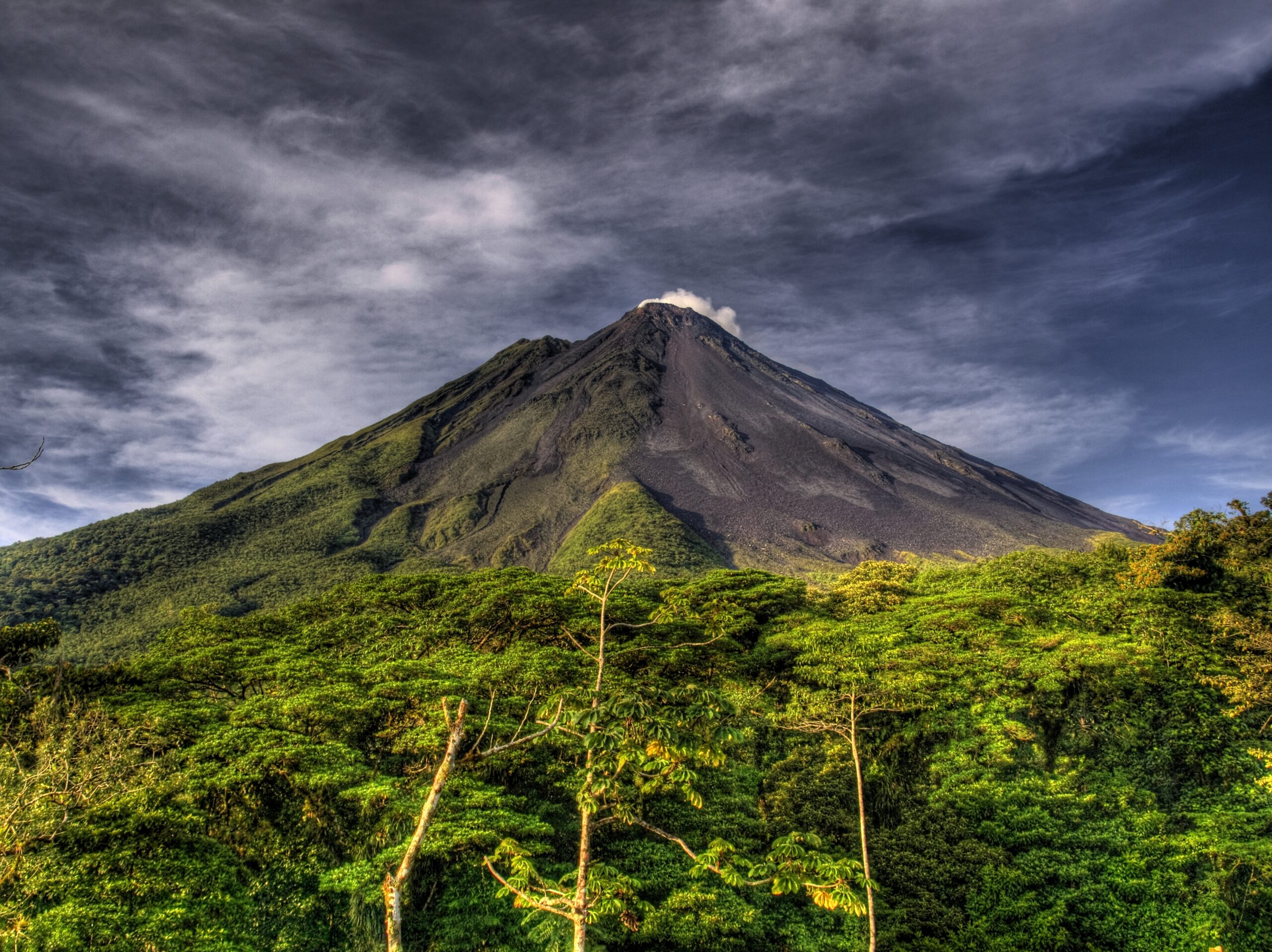 Arenal 2010