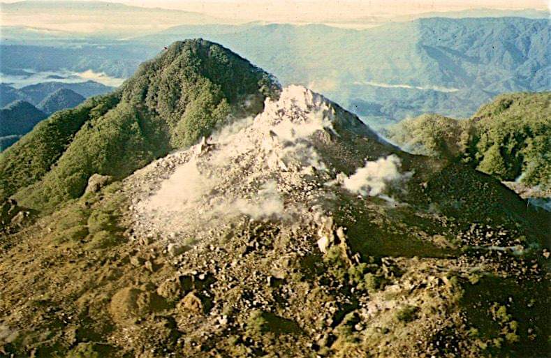 Lamington 1968
