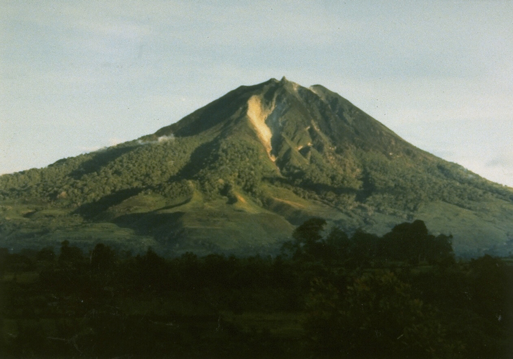 Sinabung 1982