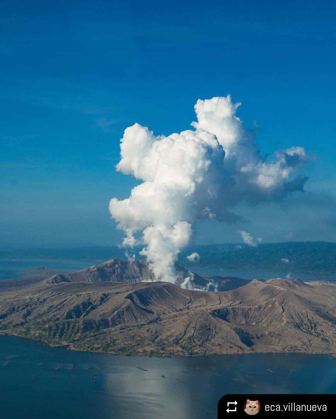 Taal 2021