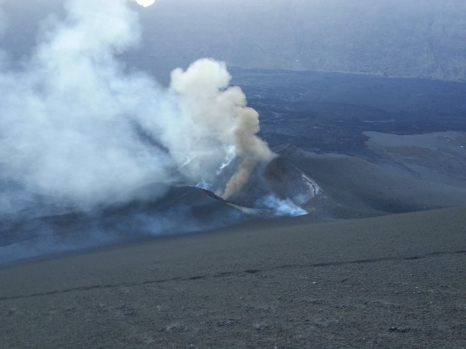 Fogo 2015