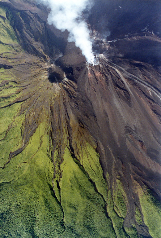 Arenal 1999