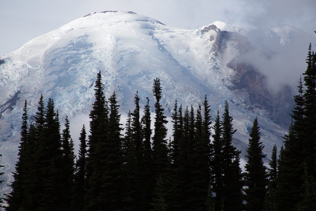 Rainier 2012