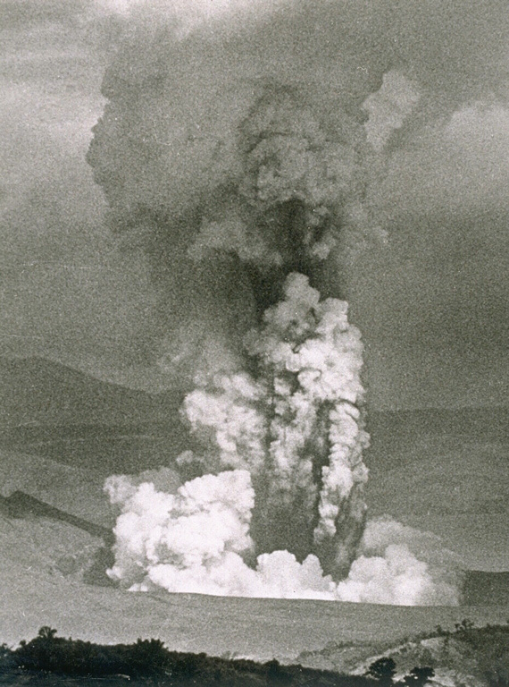 Taal 1965