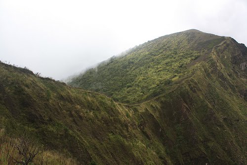 Rungwe