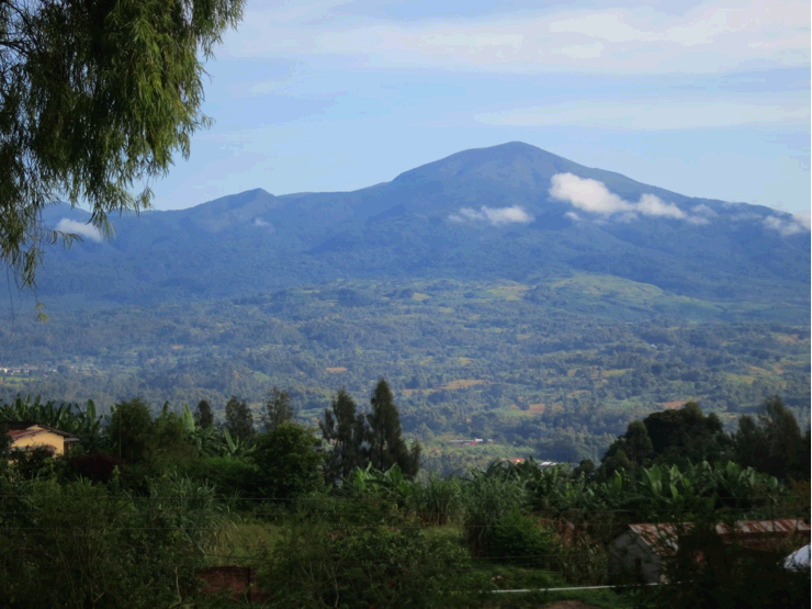 Rungwe