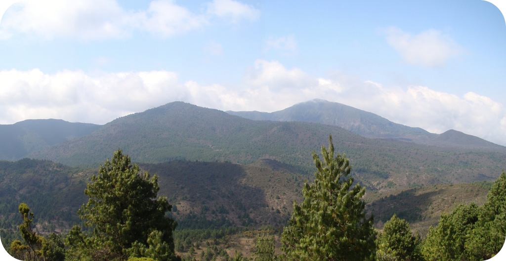 Rungwe
