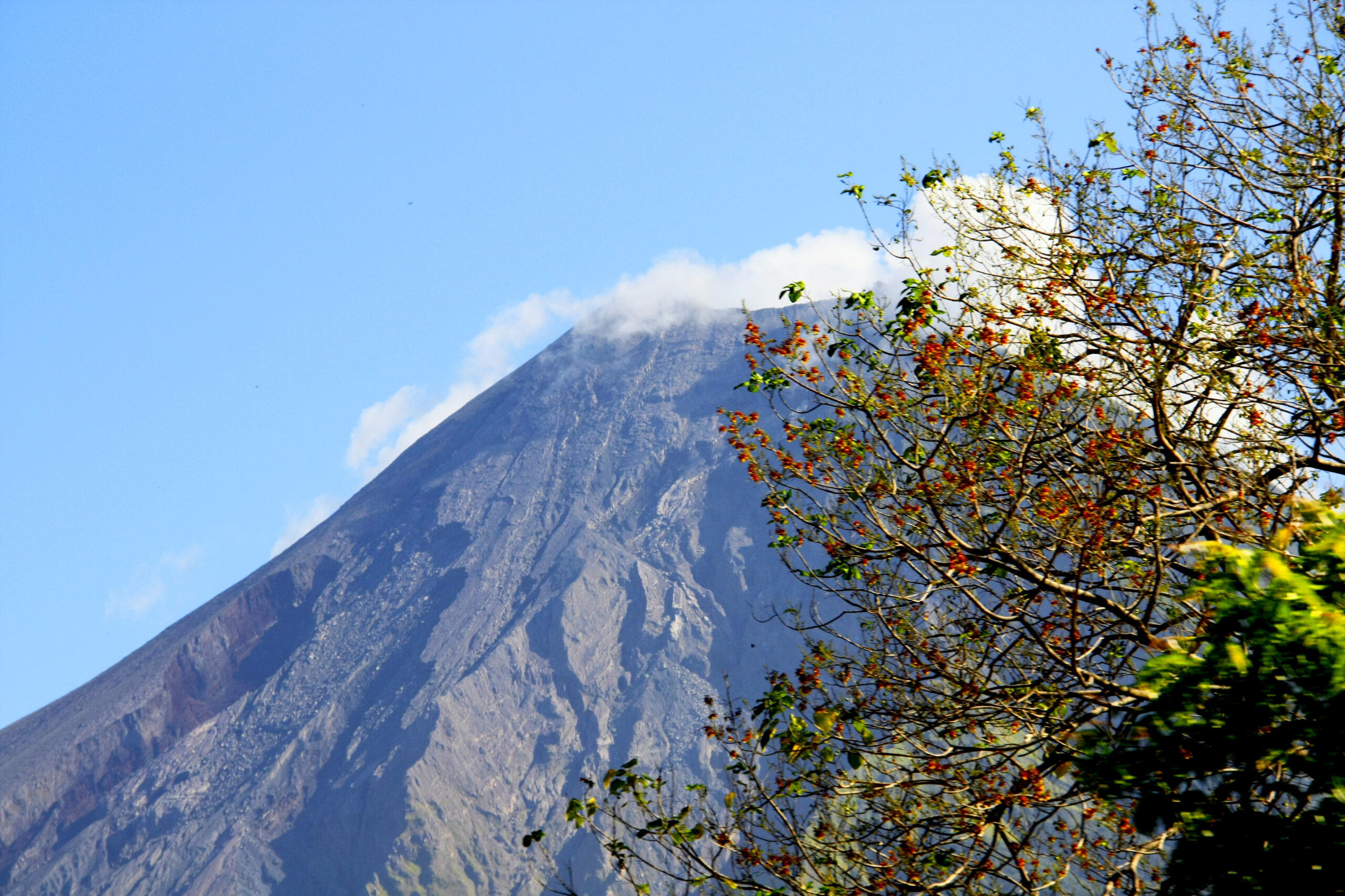 Concepción 2013
