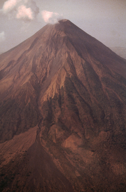 Concepción 1992