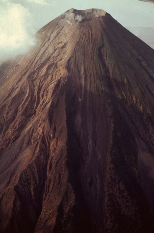 Concepción 1994