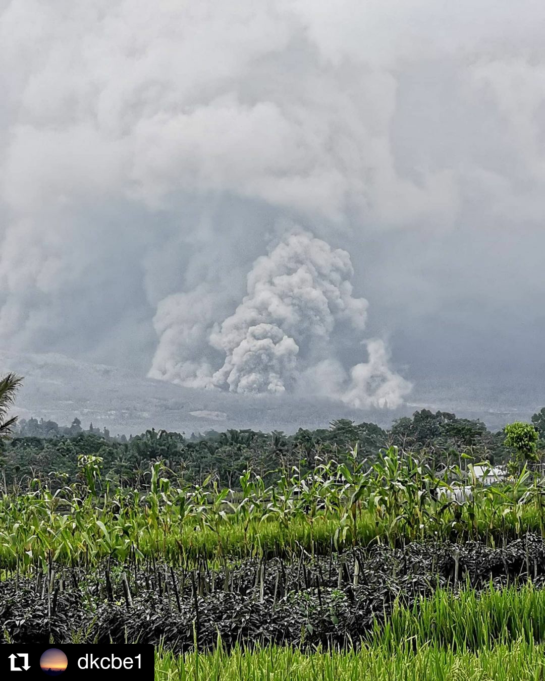 Semeru 2020
