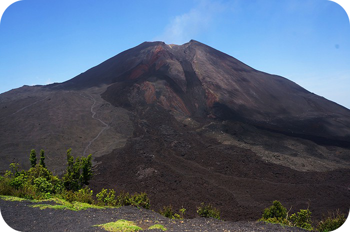 Pacaya
